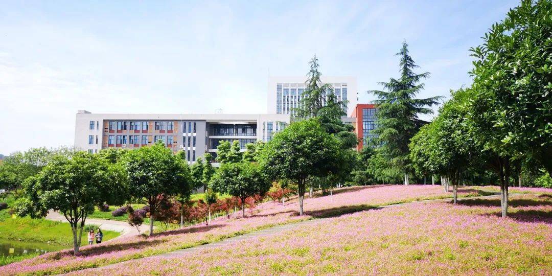 权威发布!西南石油大学2021年本科招生章程