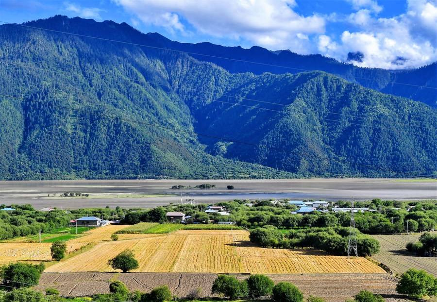 西藏昌都市八宿县然乌镇康沙村的村民在收青稞(2020年9月10日摄).