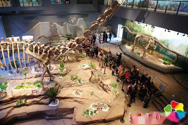 游客参观延吉恐龙博物馆2号展馆 杨婷婷 摄 据了解,恐龙博物馆每日