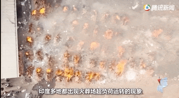 一些流浪狗还将已经腐烂了两三天的半烧焦遗体