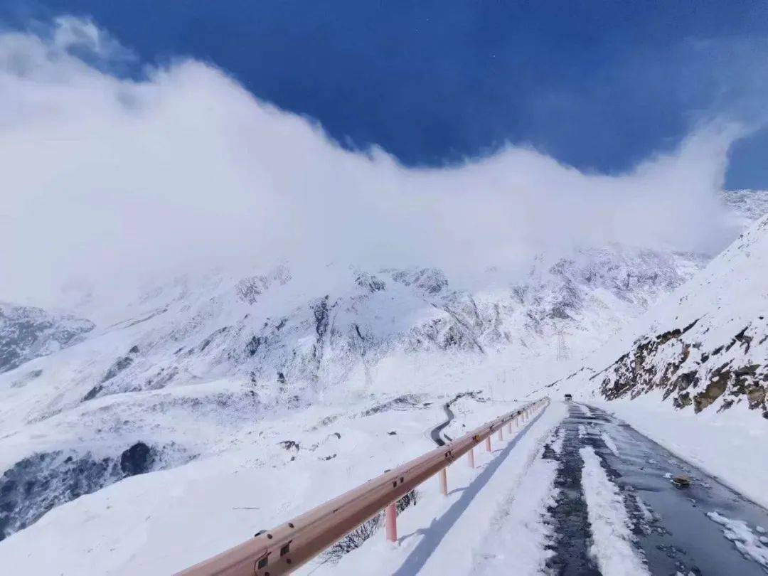 可观日出,云海,山路多个弯海拔4500左右这个天气已经下雪了巴朗山垭口