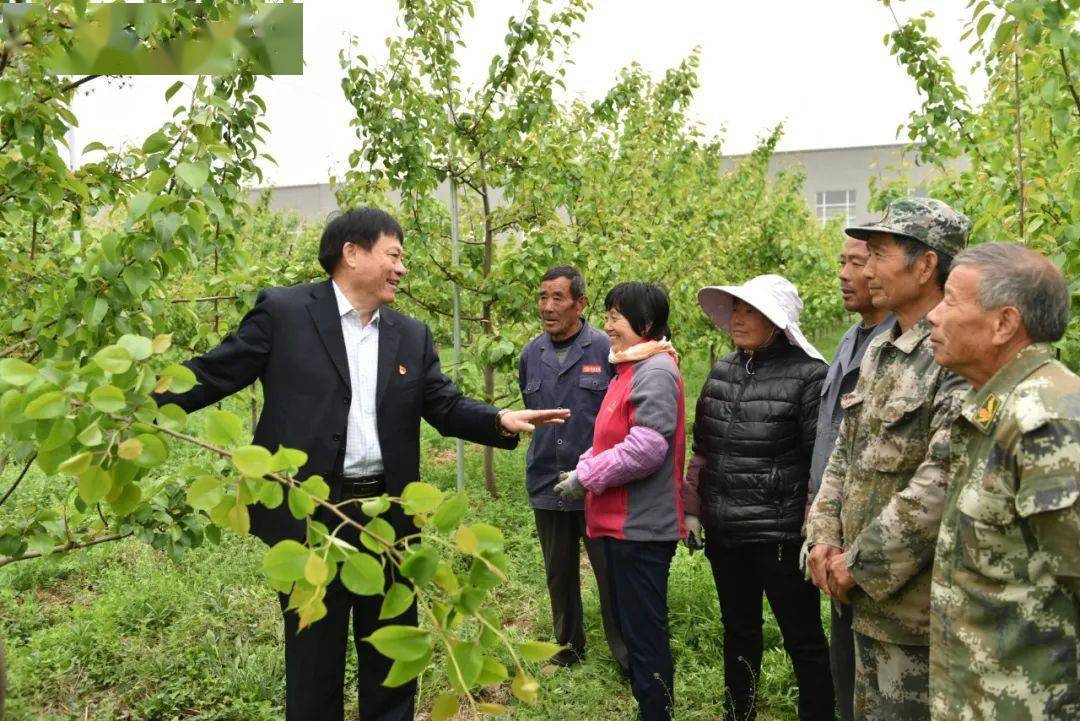 山东农大陈学森教授获评"齐鲁最美科技工作者"!