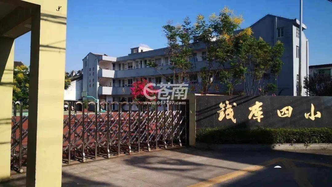 大整理苍南中小学最新学区划分