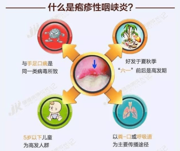 在软腭的后部,咽,扁桃体等处可见红色的晕斑,周围有特征性的水疱疹和