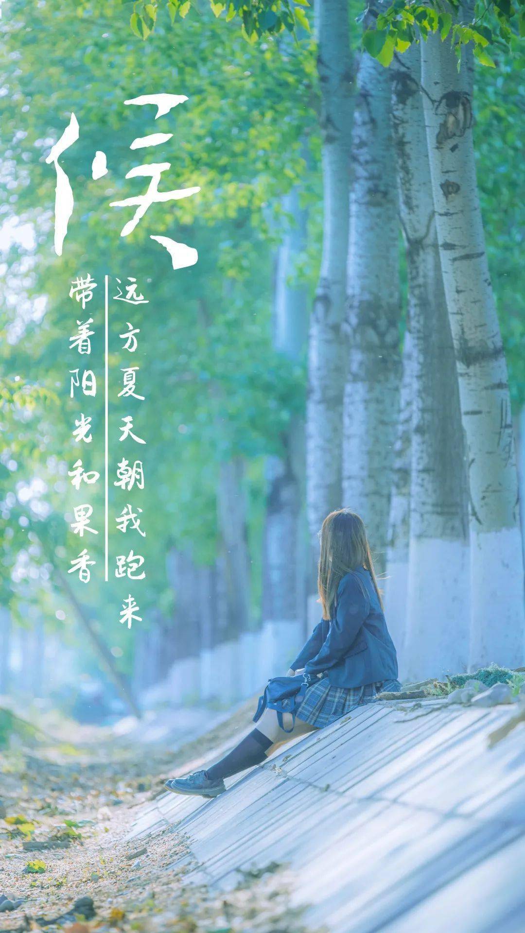 长风破云 晨曦启林转角蔷薇香骄阳似火绿意爬墙梦里夏日长路过夏天