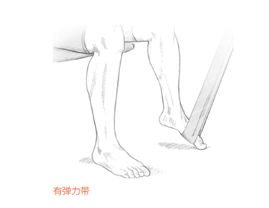 踝关节跖屈