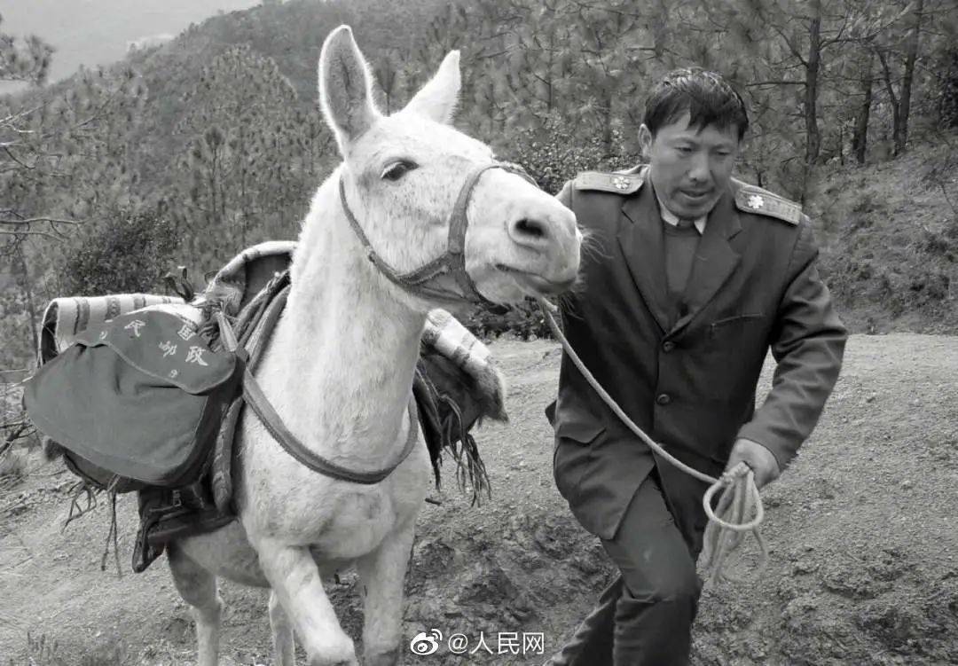《香巴拉信使》影评:这国产片都没人看,我还写什么影评