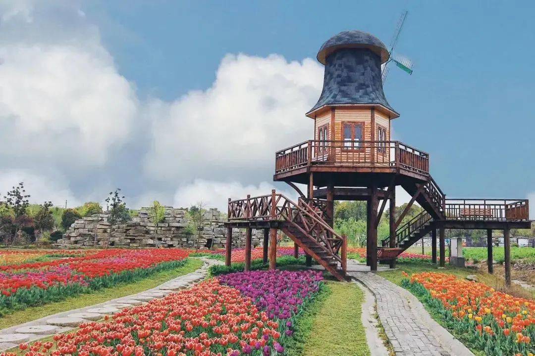 开市啦桐乡市青禾集市等你来邂逅