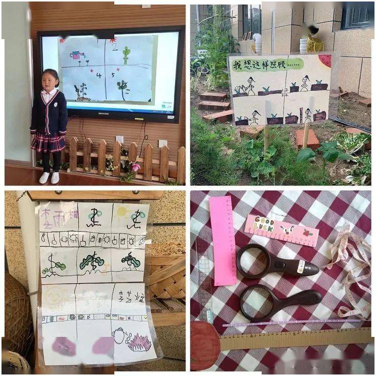 凤华幼儿园:种植园收获季,成长体验时