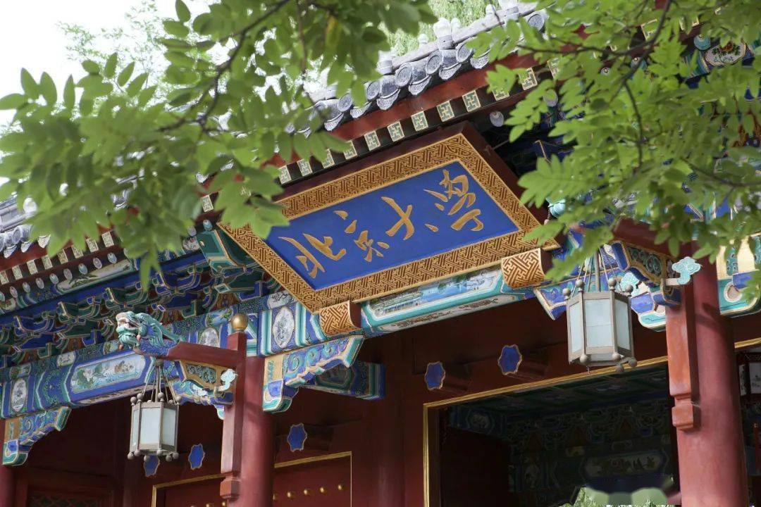 韦东奕是一位非常优秀的青年数学家,他于2010年进入北京大学数学科学