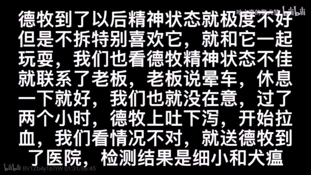 然而又过了一会儿,小德牧开始上吐下泻,甚至拉了血,到医院一检查,发现