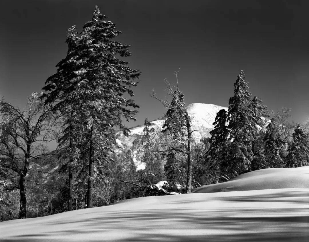 北方的雪—金建国黑白摄影作品展_自然主义