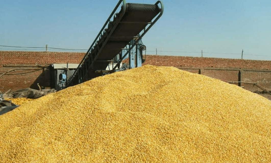 小麦走势行情分析