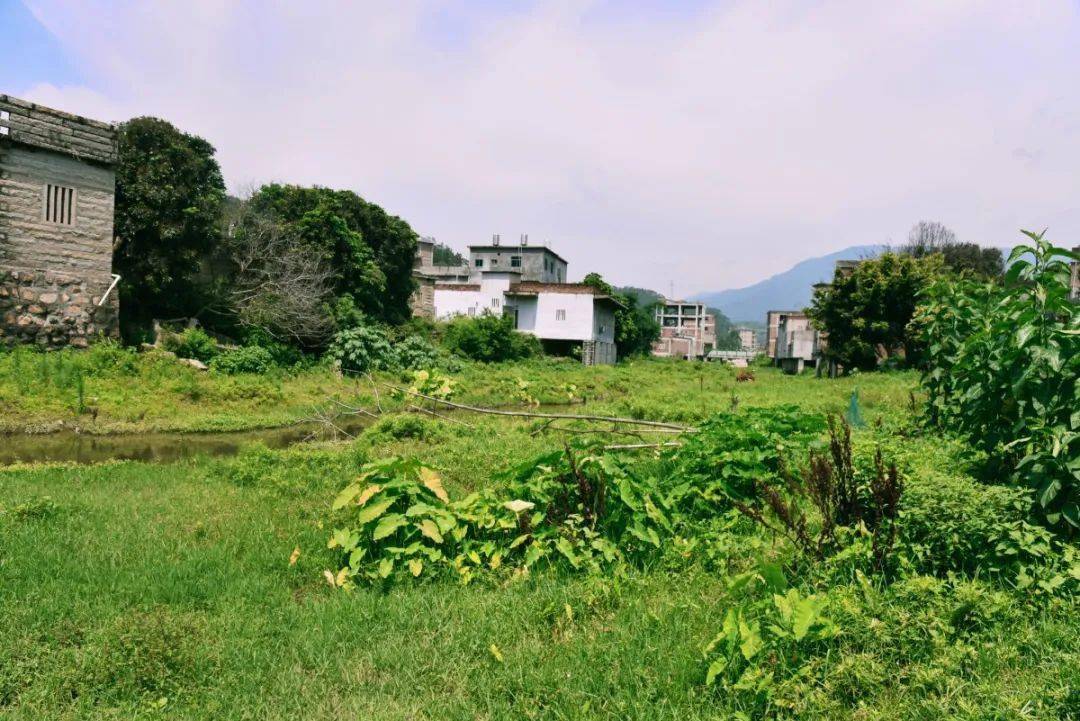 官桥九溪村:河道清淤显成效 水清岸绿换新貌