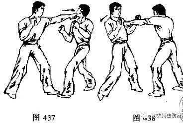 散打实战防守反击技巧防直拳和摆拳和勾拳