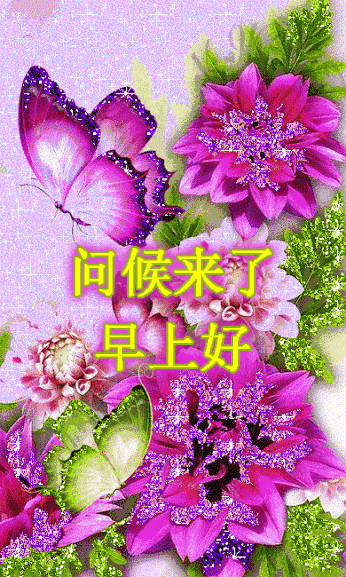 346_577 竖版 竖屏