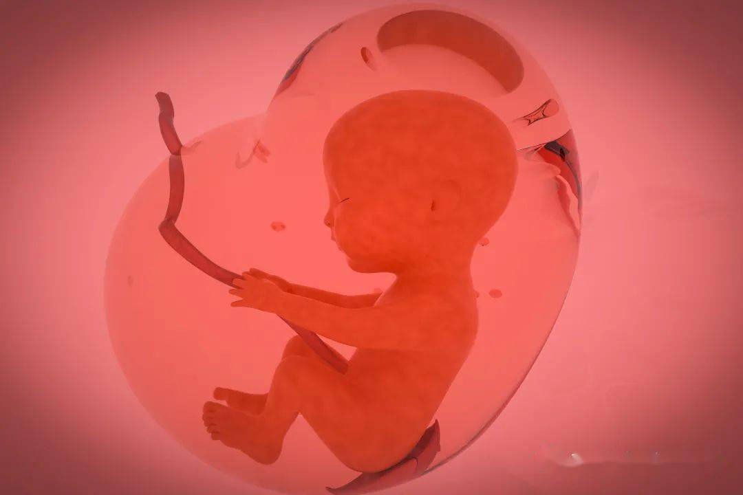 妇幼科普胚胎移植后需要长时间休息吗