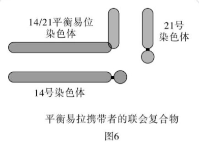 14号与21号染色体二者的长臂在着丝点处融合形成14/21平衡易位染色体