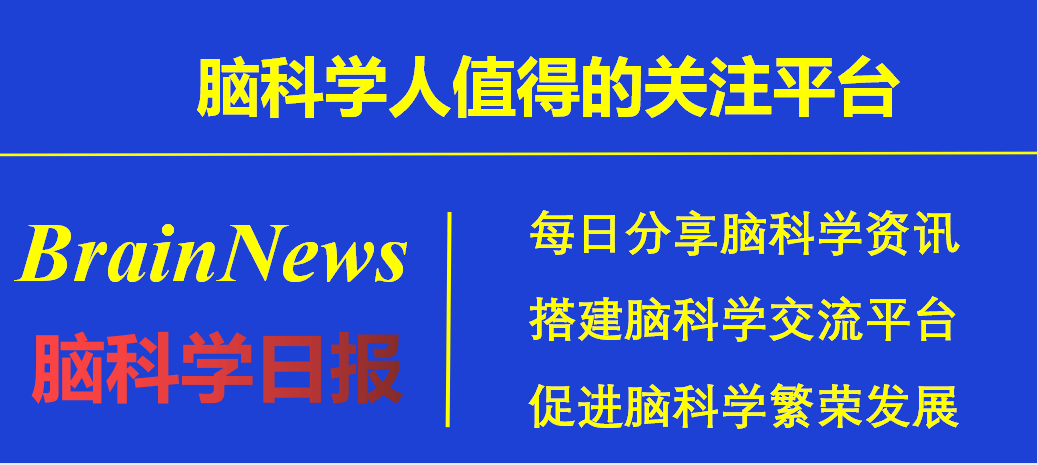 调控久远恐惧记忆消退的新机制丘脑杏仁核环路