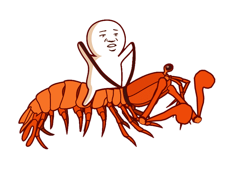 长矛皮皮虾和大锤皮皮虾