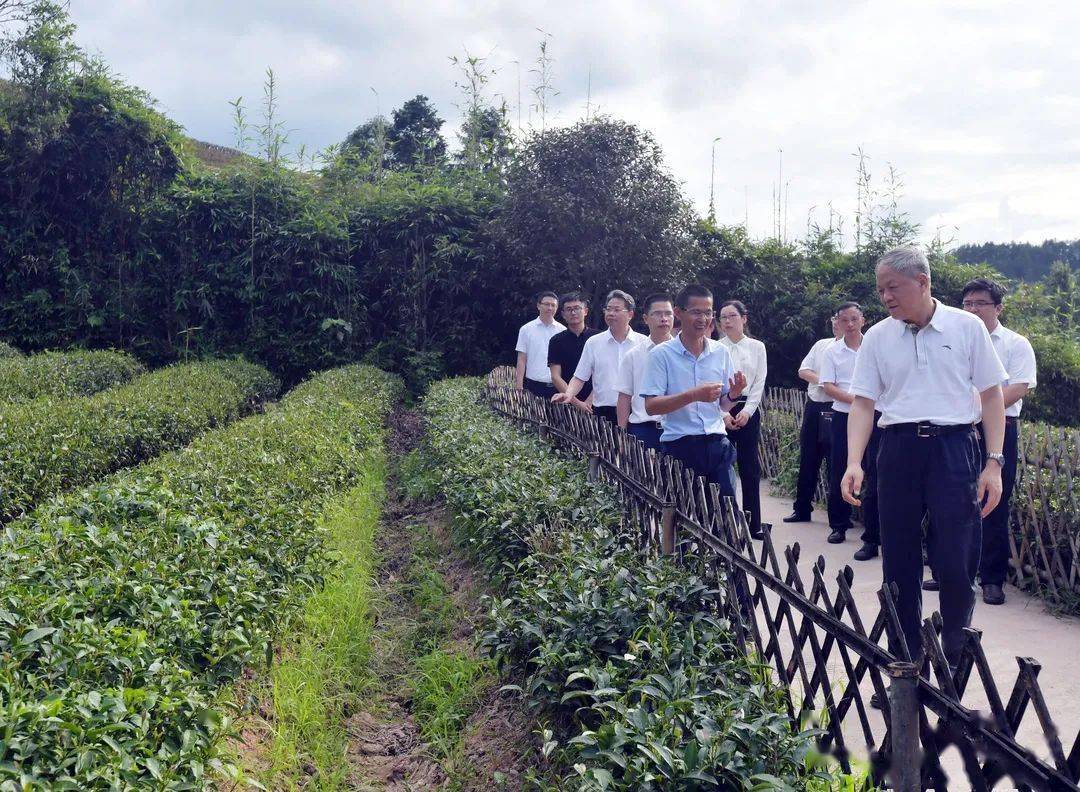 李仰哲到武夷山市调研