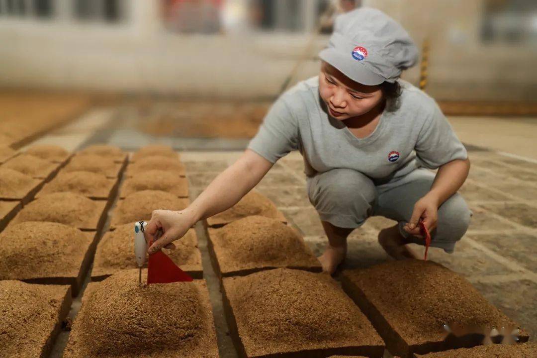 揭秘优质小麦到酱香大曲的奇妙旅程_茅台镇