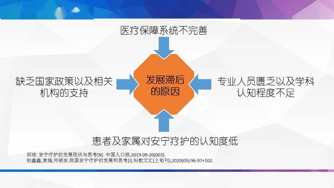 【ppt】安宁疗护的实践