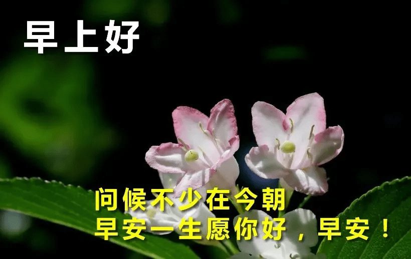 2021早安问候祝福图片集锦,清晨问候祝福朋友的早安美