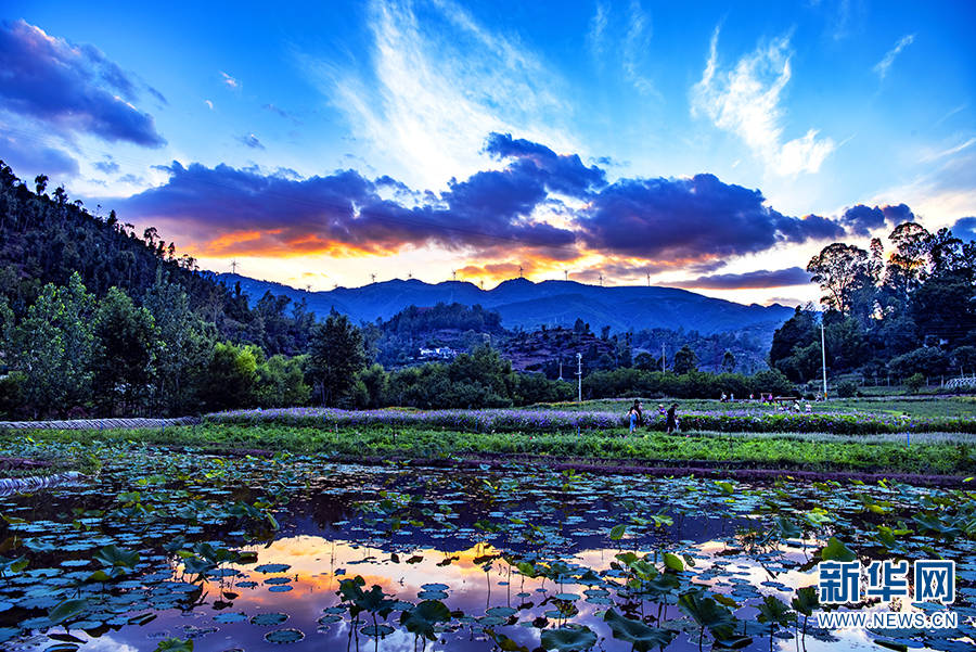 从 空壳村 到 百万元实体村 云南昆明石桥村的乡村振兴之路