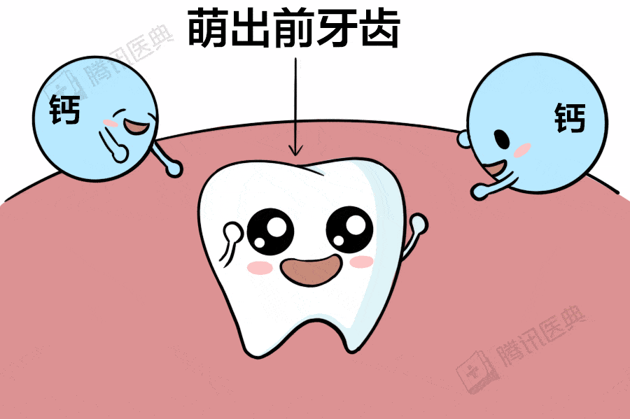 牙齿松动了补钙有用吗