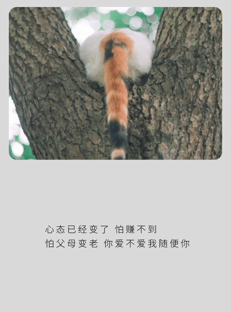表情包|感同身受这个词 根本不适合聆听者