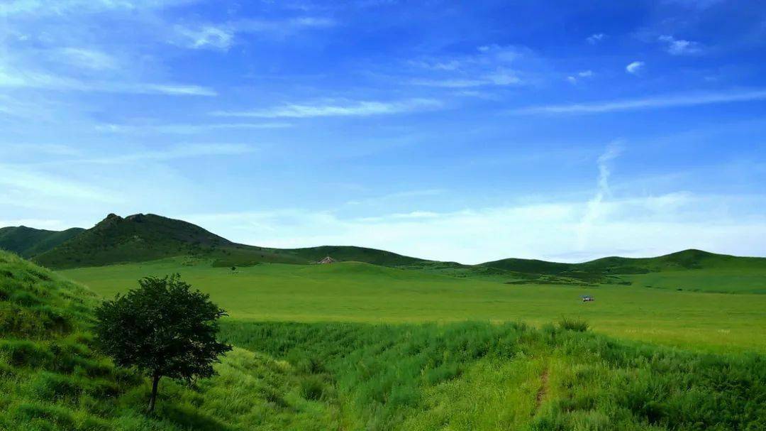 【暑假亲子-沙漠】扎鲁特旗山地草原,珠日河大草原,塔敏查干沙漠