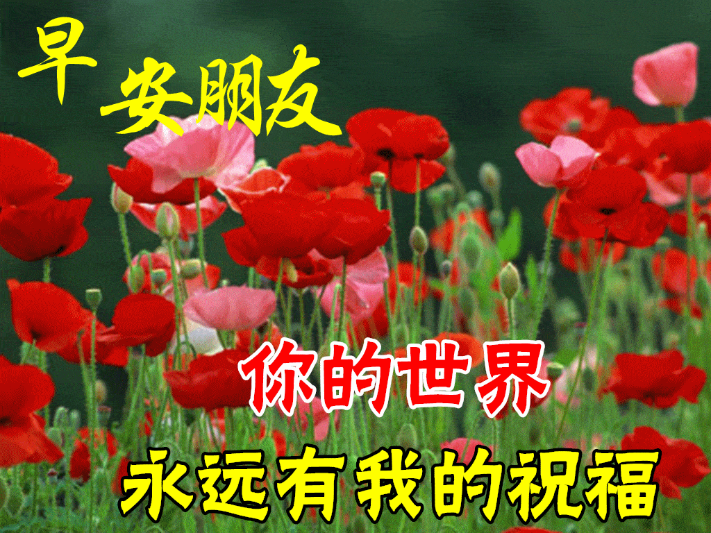缘是天意份是人为知音是贴切的默契早安