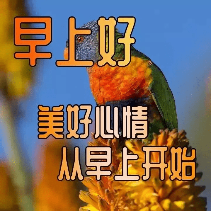 急事,慢慢的说;大事,清楚的说;小事,幽默的说.早安