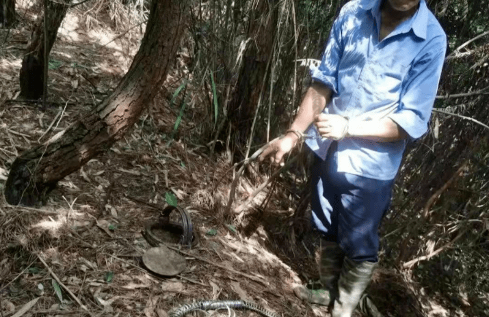 抚州一男子嘴馋捕野猪,被刑拘