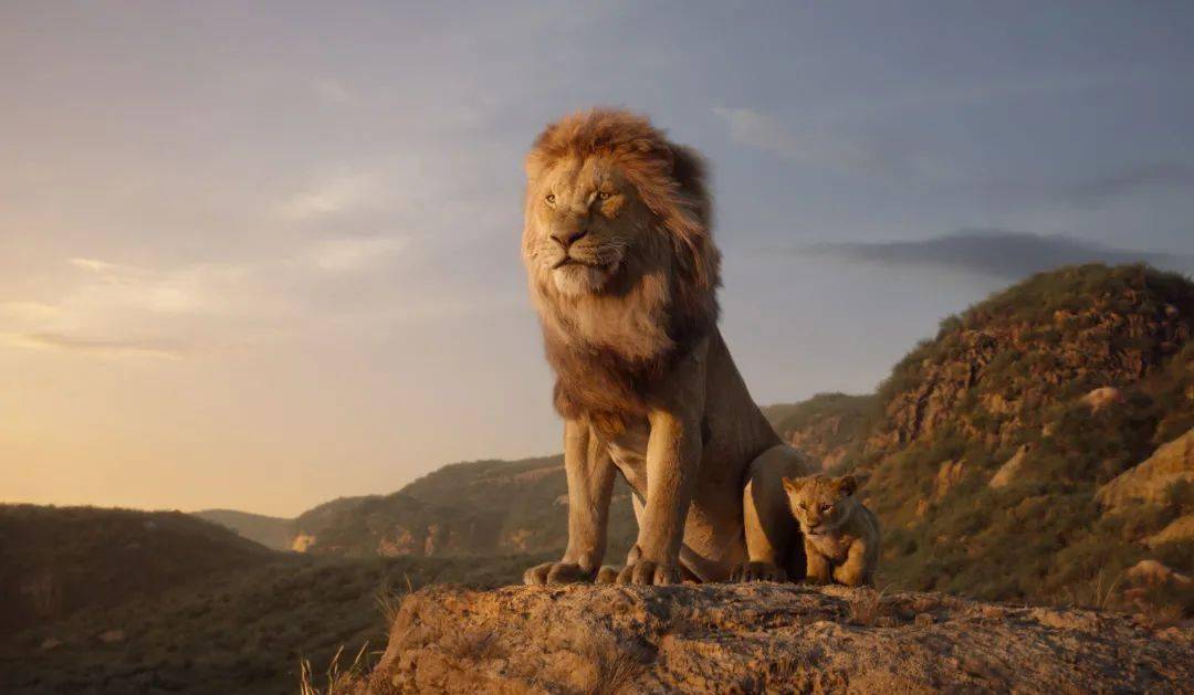 艺视电影沙龙丨本周六晚佳片放映《狮子王》