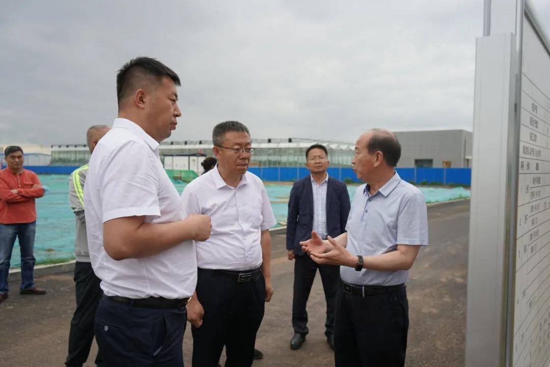 高峰调研督导部分重点项目推进情况_和林