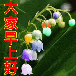 不用打字就可以聊天的图片