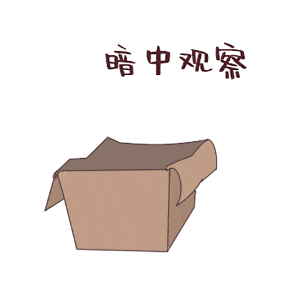 580_580