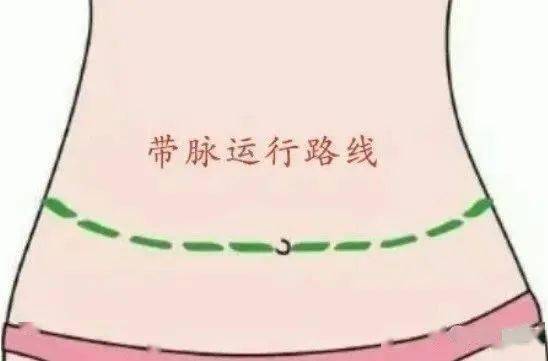 (图片来源网络 带脉堵塞=腹部肥胖 事实上,作为奇经八脉之一的"带脉"
