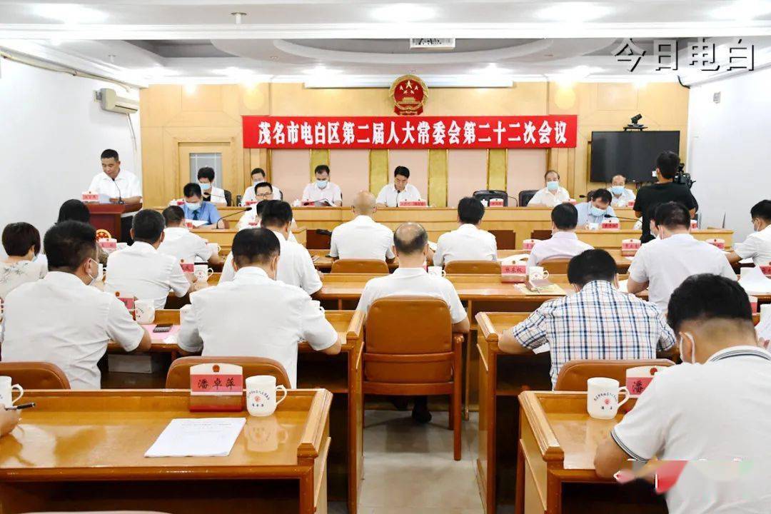 电白任免一批干部陈虹彤任区监察委员会副主任代理主任