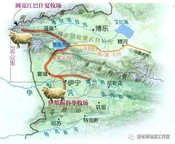 地理视野有一种搬家叫转场关于新疆天山转场的地理考点