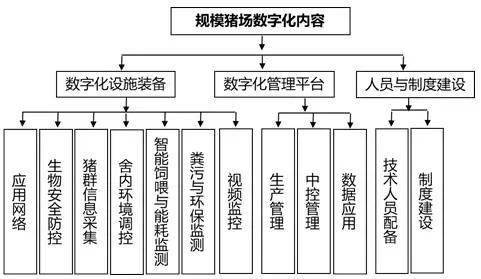 万头猪场数字化建设怎么做?进来看指南