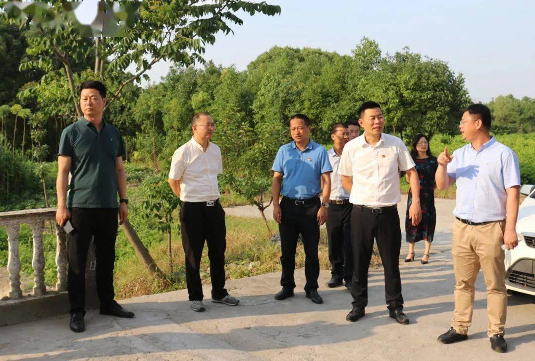 市领导吕忠飞,魏国强赴周王庙镇督导平安护航和安全生产工作