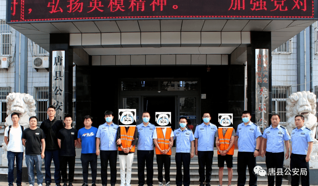 13人被抓!_诈骗