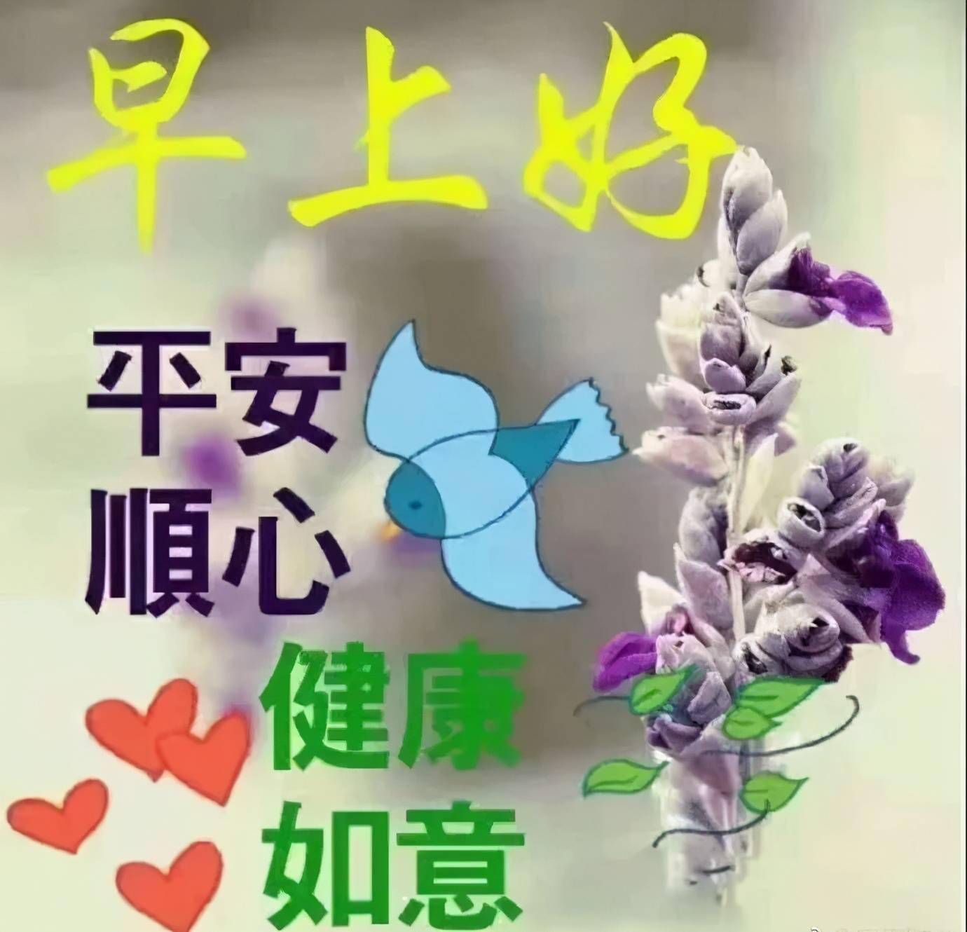 用心交友,朋友皆是贵人;用心爱人,人人皆是亲人,早安