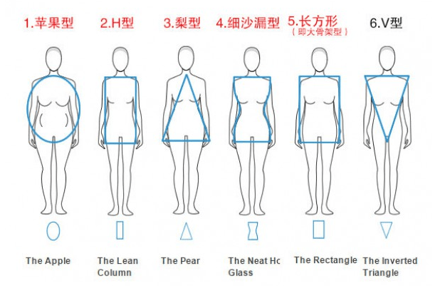 是不是发现自己的体型非常像梨形?