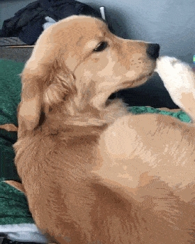 280_350 竖版 竖屏