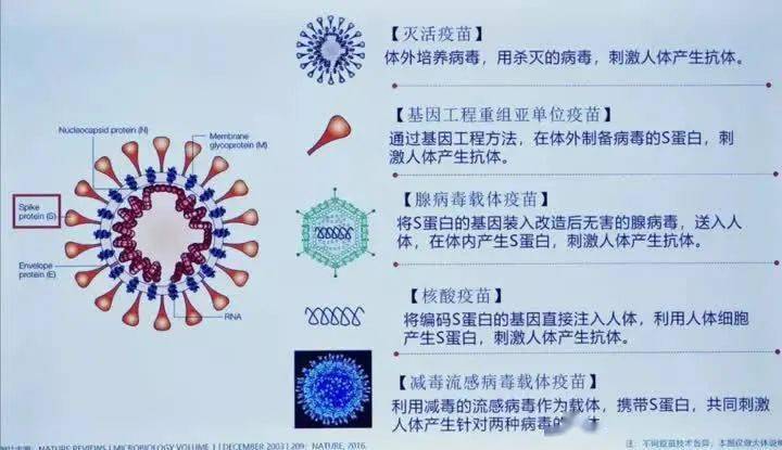 回答:为灭活疫苗.