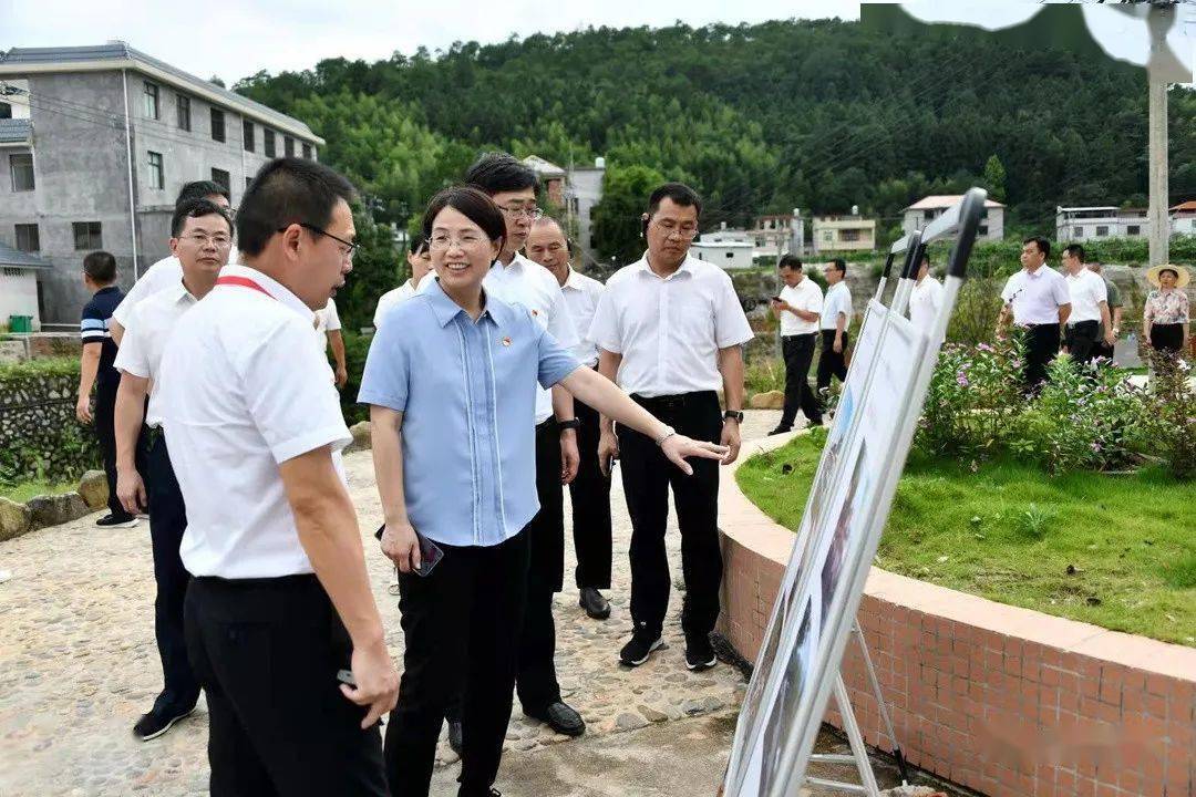 现场推进,现场点评!武平这项重要工作这样干